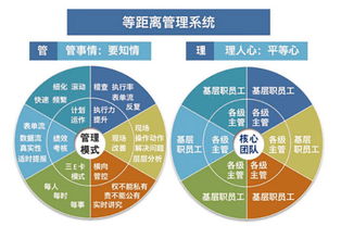 溫州企業管理咨詢 為何朗歐是您駐廠咨詢的卓越之選？